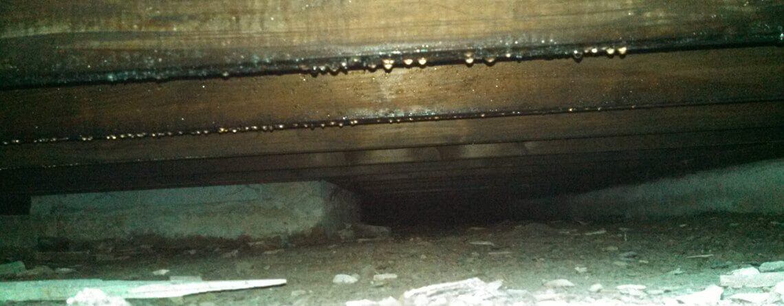 Crawl Space Dehumidifer Service | SouthernDry | Birmingham, AL