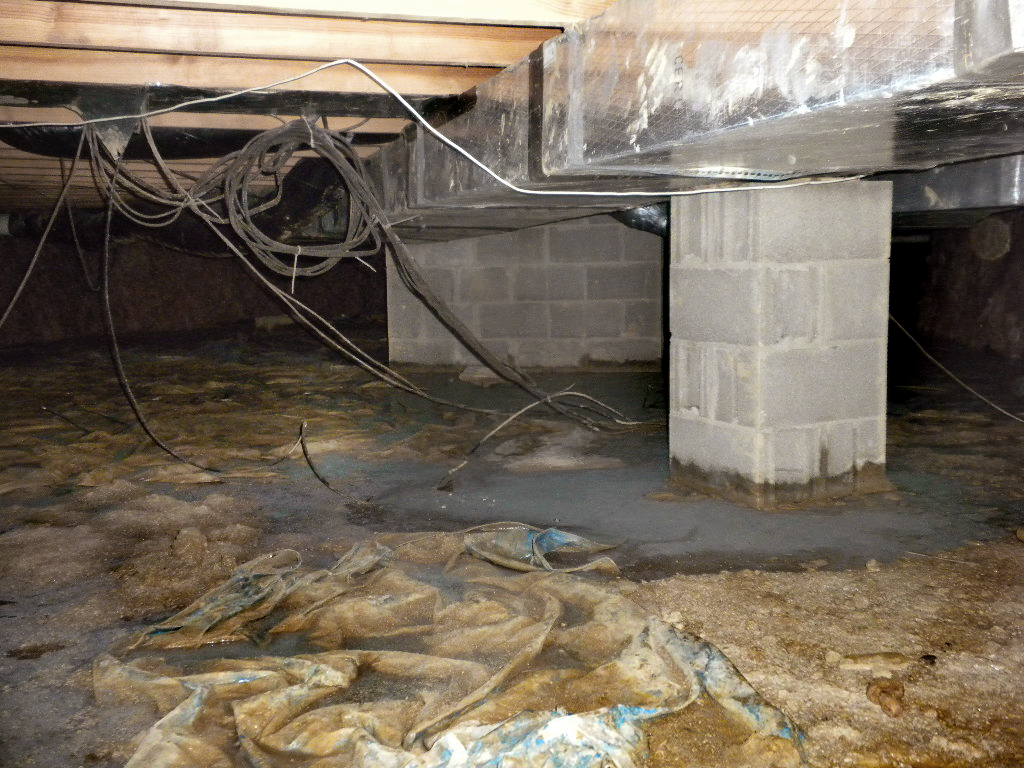 crawl space wood rot