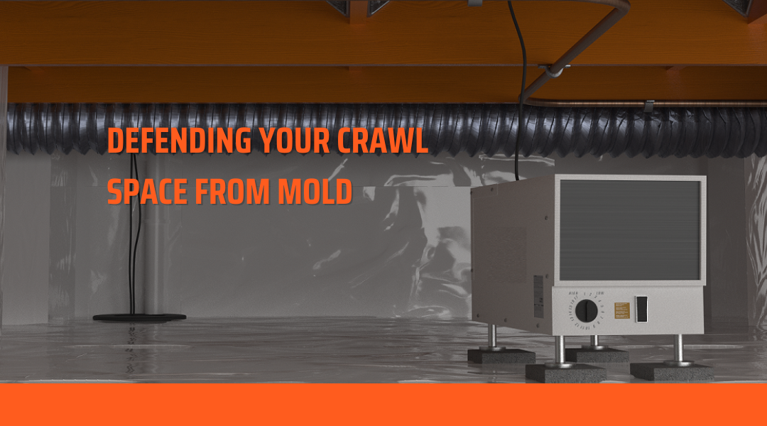 crawl space mold banner