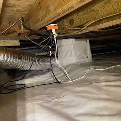 crawl space liner on floor and columns under house