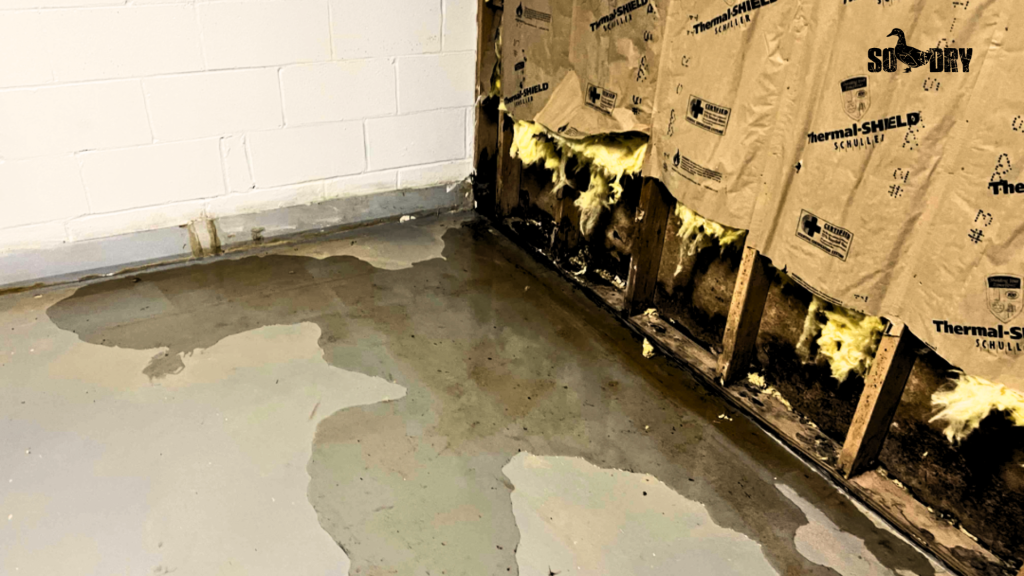 Leaky Basement