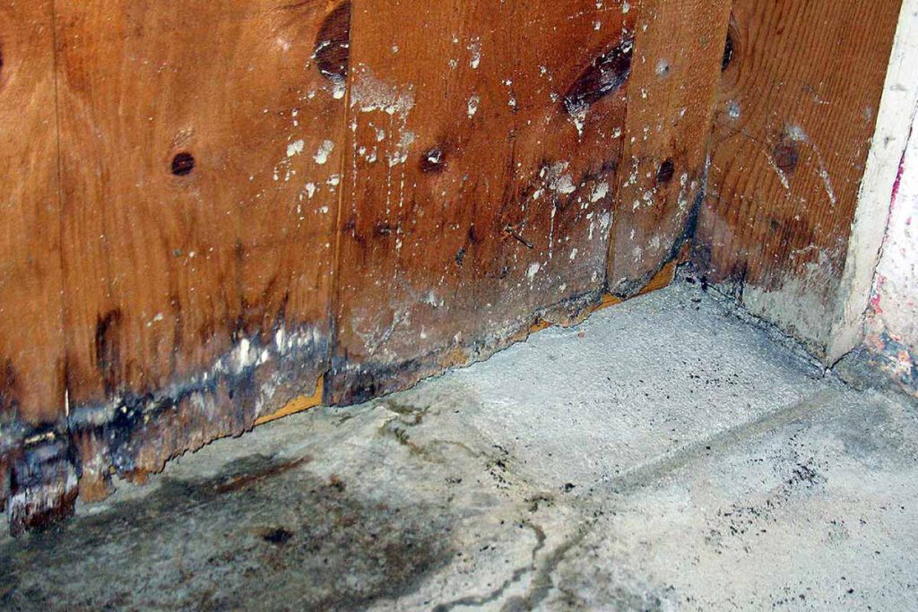 Moldy, mildewy floors and baseboards