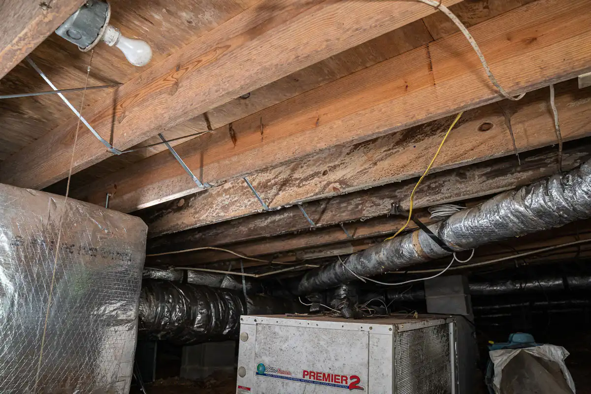 A moldy crawl space, with black mold visibly growing on an HVAC unit and floor joists