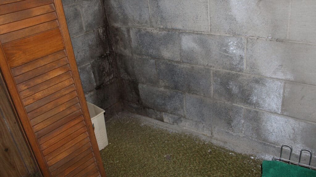 Signs of water damage on a basement wall