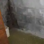 Signs of water damage on a basement wall