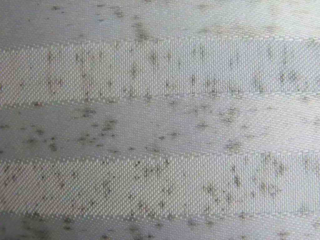 Discoloration on fabric in a home from mold and moisture damage